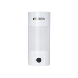 Detector exterior con cámara